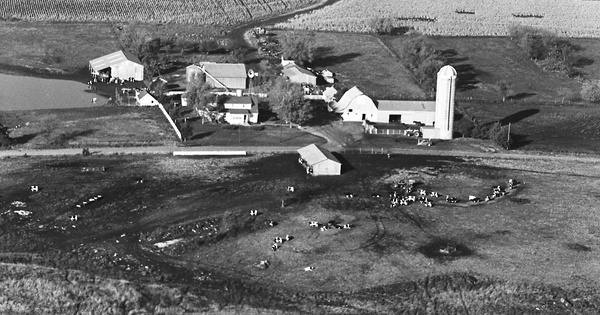 Vintage Aerial photo from 1981 in Anderson County, KS