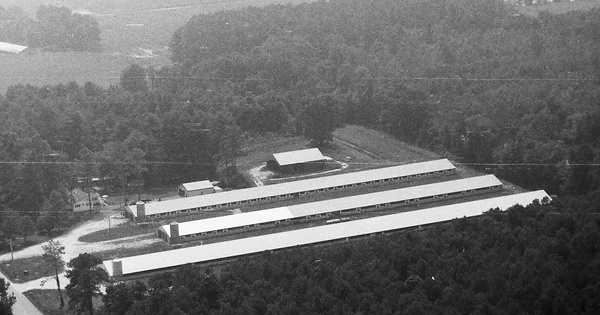 Vintage Aerial photo from 1993 in Somerset County, MD