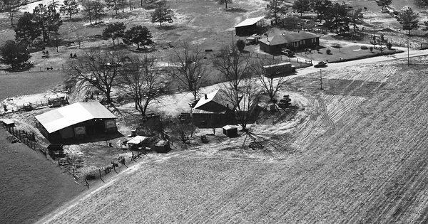 Vintage Aerial photo from 1982 in Early County, GA