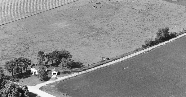 Vintage Aerial photo from 1981 in Goodhue County, MN