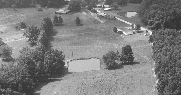 Vintage Aerial photo from 1986 in Winston County, AL