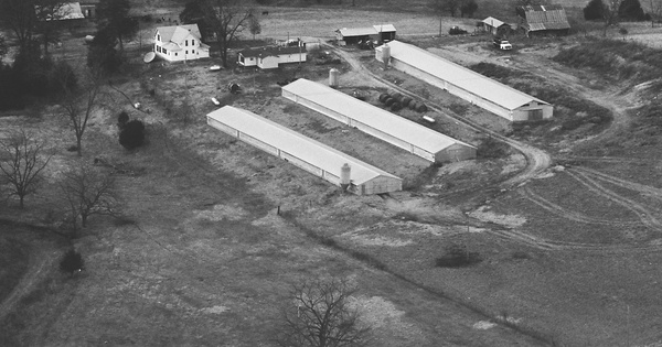 Vintage Aerial photo from 1988 in Benton County, AR