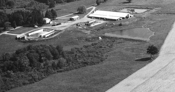 Vintage Aerial photo from 1991 in Broome County, NY