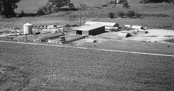 Vintage Aerial photo from 1977 in Henderson County, IL