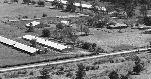 Vintage Aerial photo from 1982 in McDonald County, MO