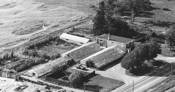 Vintage Aerial photo from 1964 in Aroostook County, ME