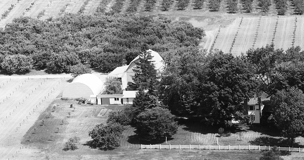 Vintage Aerial photo from 1971 in Montcalm County, MI