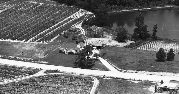 Vintage Aerial photo from 1965 in Wake County, NC