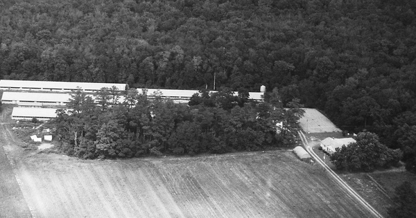 Vintage Aerial photo from 1992 in Sussex County, DE