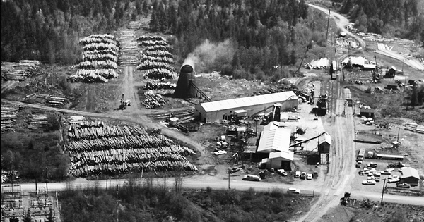 Vintage Aerial photo from 1968 in Lewis County, WA