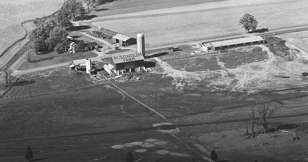 Vintage Aerial photo from 1981 in Barry County, MI