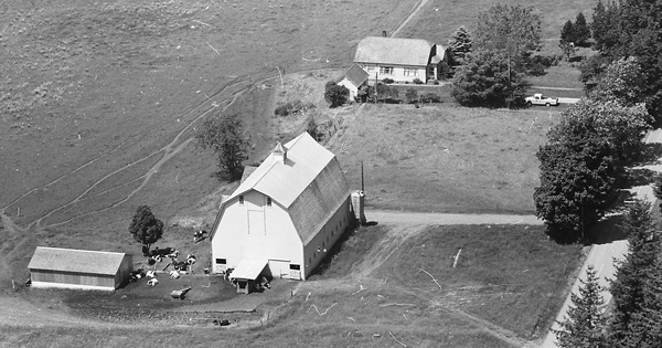 Vintage Aerial photo from 1968 in Whatcom County, WA