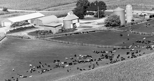 Vintage Aerial photo from 1979 in Cass County, NE