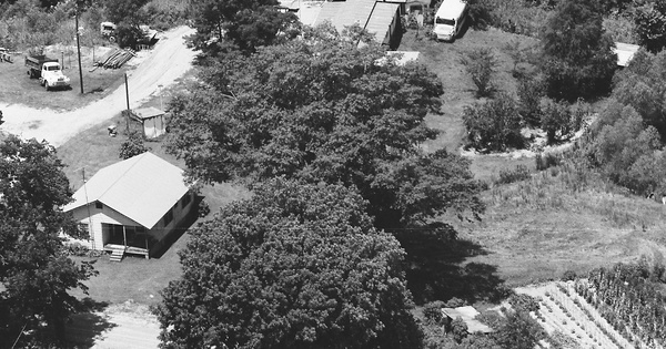 Vintage Aerial photo from 1984 in Warren County, MS