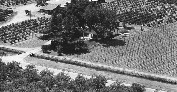 Vintage Aerial photo from 1965 in Fresno County, CA