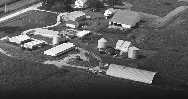 Vintage Aerial photo from 1981 in Warren County, IL