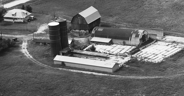 Vintage Aerial photo from 1991 in Montmorency County, MI