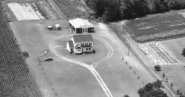 Vintage Aerial photo from 1994 in Greene County, NC