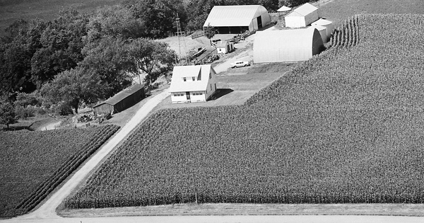 Vintage Aerial photo from 1969 in Sibley County, MN
