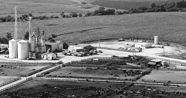 Vintage Aerial photo from 1982 in Cass County, NE