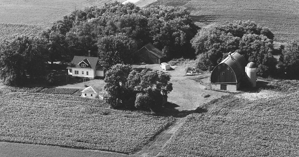 Vintage Aerial photo from 1983 in McLeod County, MN
