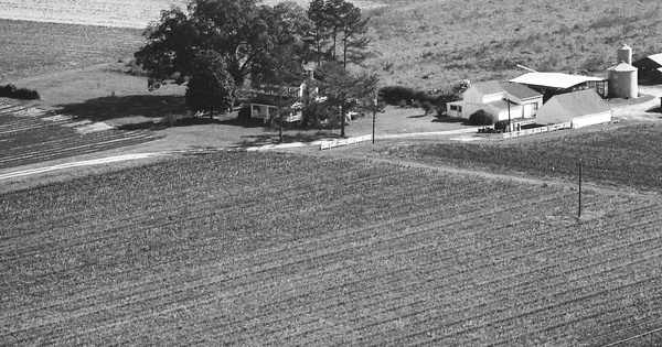 Vintage Aerial photo from 1990 in Bertie County, NC