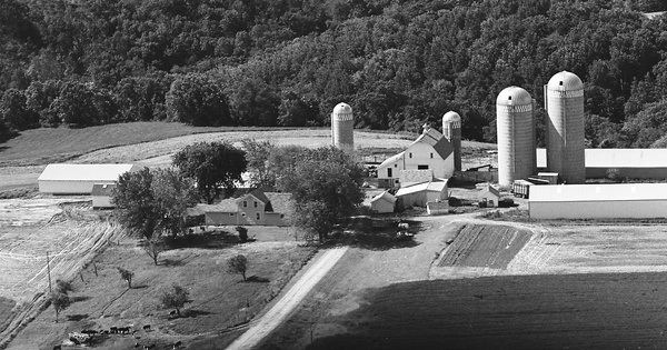 Vintage Aerial photo from 1974 in Wabasha County, MN