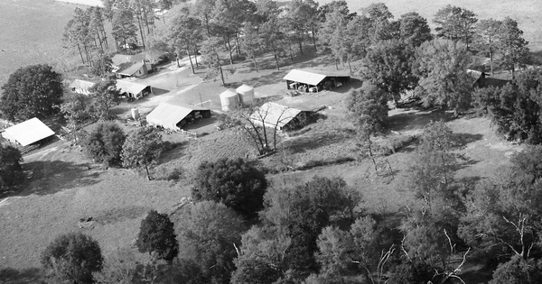 Vintage Aerial photo from 1982 in Decatur County, GA