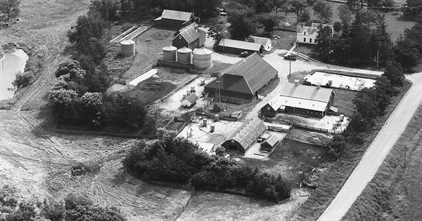 Vintage Aerial photo from 1975 in Cherokee County, IA