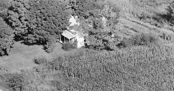Vintage Aerial photo from 1982 in Daviess County, IN