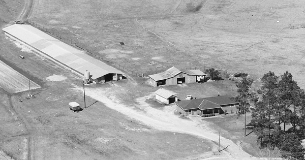 Vintage Aerial photo from 1984 in Geneva County, AL