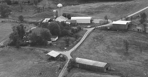 Vintage Aerial photo from 1980 in Nelson County, KY