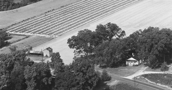 Vintage Aerial photo from 1985 in Wayne County, NC