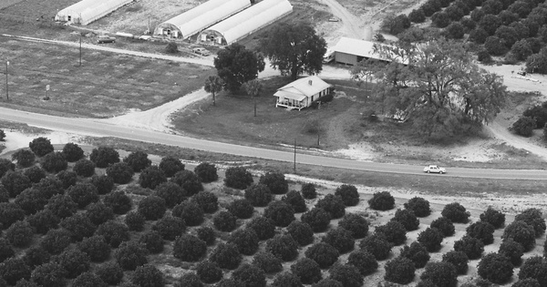 Vintage Aerial photo from 1983 in Orange County, FL