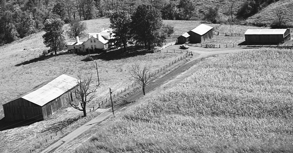 Vintage Aerial photo from 1981 in Bracken County, KY
