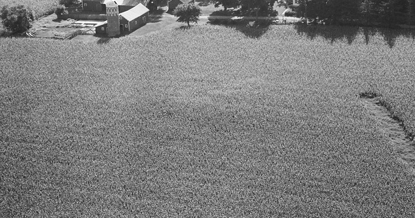 Vintage Aerial photo from 1969 in Blue Earth County, MN