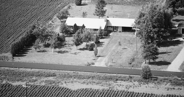 Vintage Aerial photo from 1984 in Shiawassee County, MI