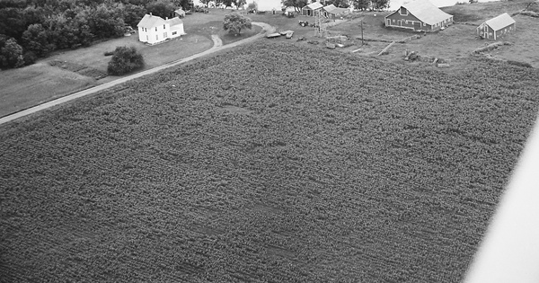 Vintage Aerial photo from 1969 in Stevens County, MN