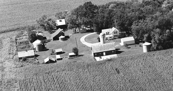 Vintage Aerial photo from 1981 in Watonwan County, MN