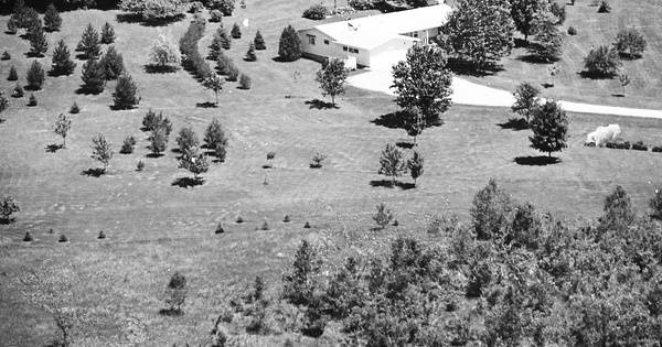 Vintage Aerial photo from 1968 in Olmsted County, MN
