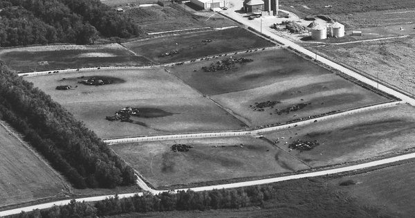 Vintage Aerial photo from 1983 in Cuming County, NE