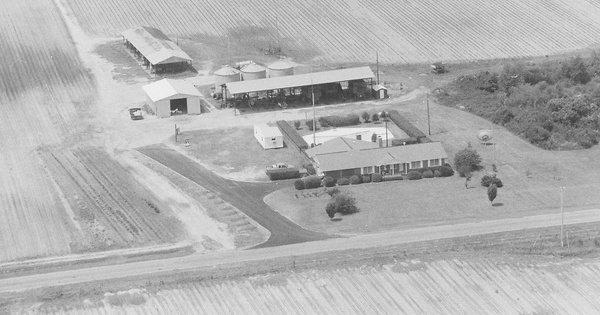 Vintage Aerial photo from 1995 in Pulaski County, GA