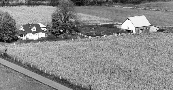 Vintage Aerial photo from 1984 in Clark County, IN