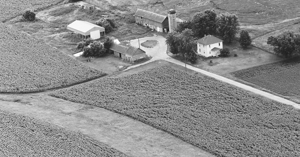 Vintage Aerial photo from 1987 in Dakota County, MN