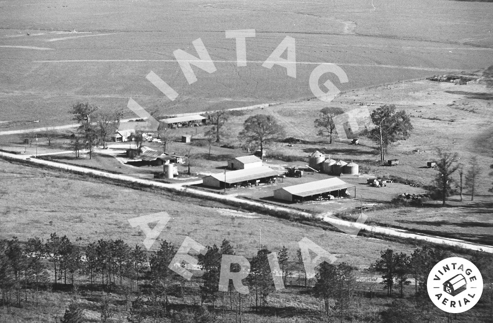 Vintage Aerial | Georgia | Seminole County | 1982 | 16-GSE-33