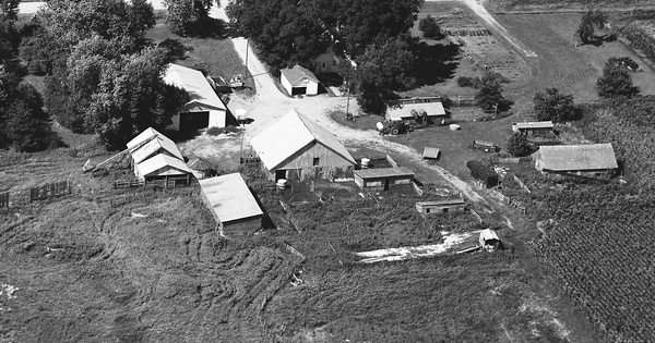Vintage Aerial photo from 1993 in Carroll County, IA