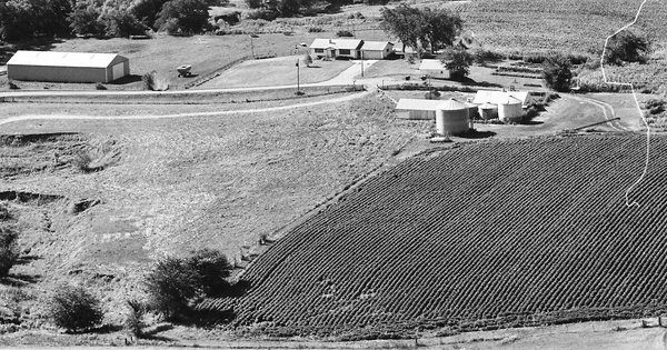 Vintage Aerial photo from 1980 in Page County, IA