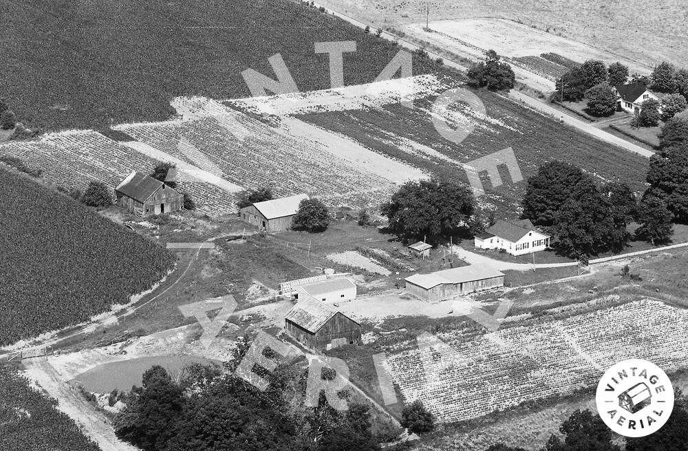 Vintage Aerial Kentucky Taylor County 1979 12OTA1