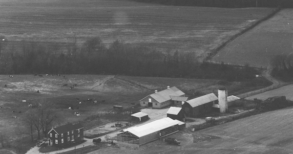 Vintage Aerial photo from 1967 in Queen Anne's County, MD