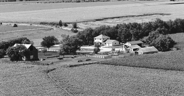 Vintage Aerial photo from 1982 in Butler County, NE